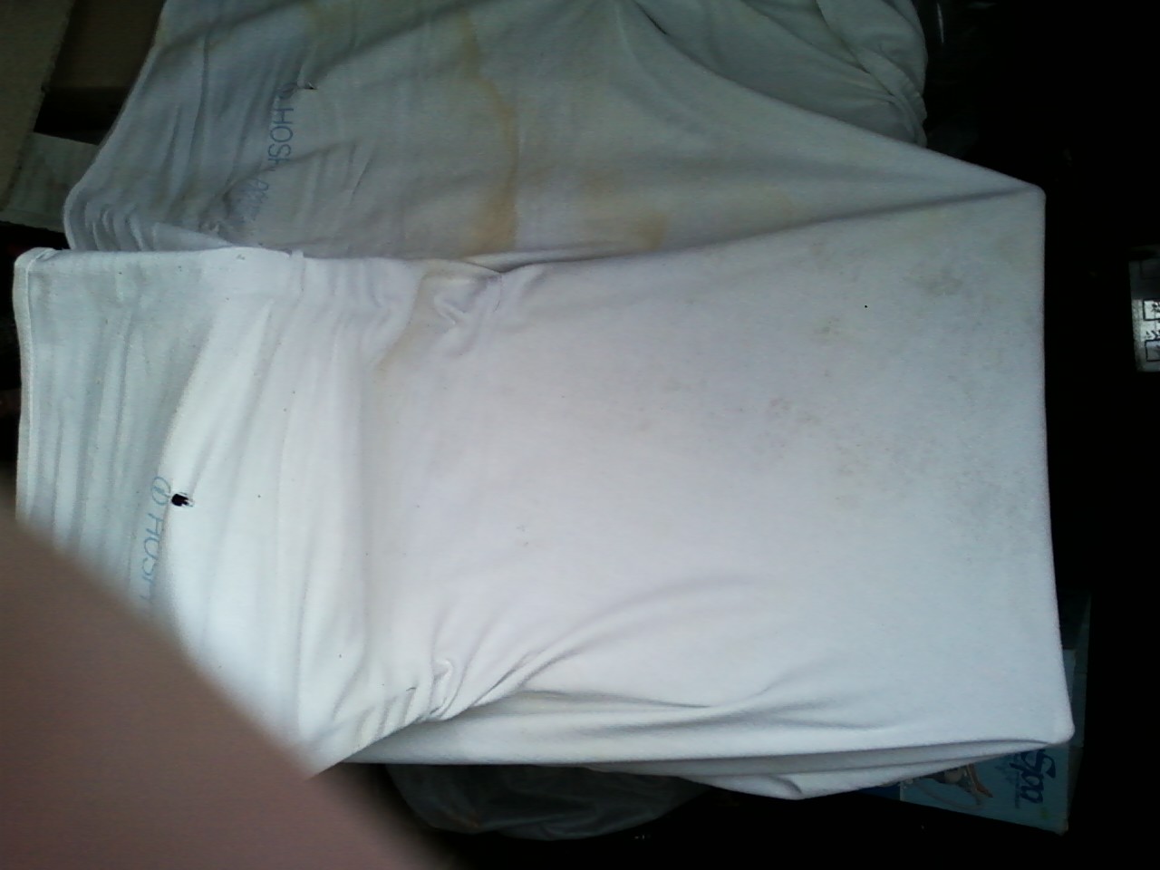 Your unwashed sheet.jpg