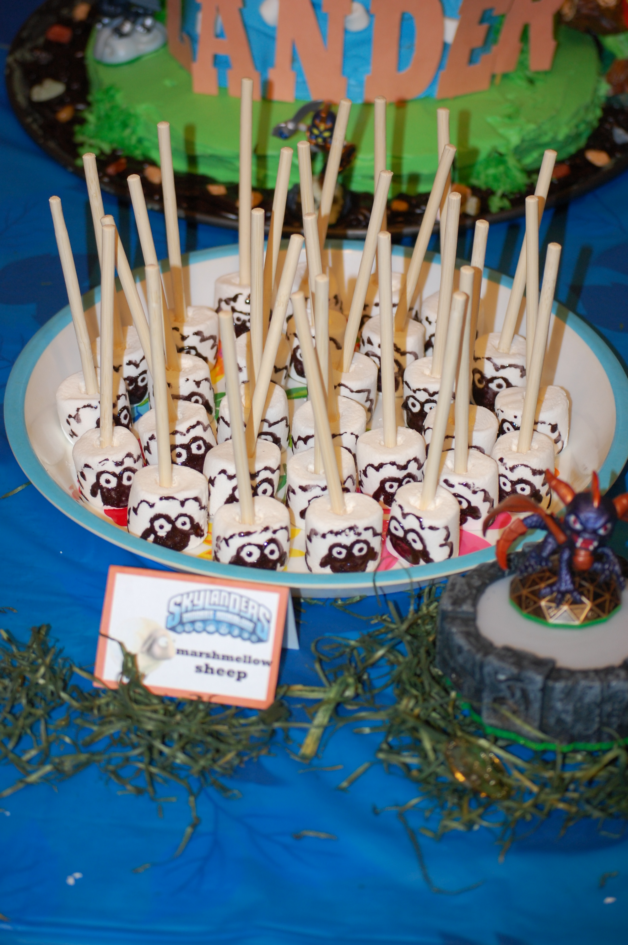 Zander's Skylander Birthday Party 2013 006.JPG