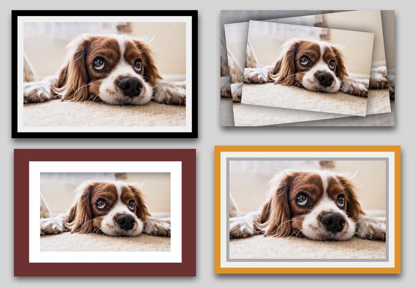 add-border-to-photo-in-photoshop.jpg