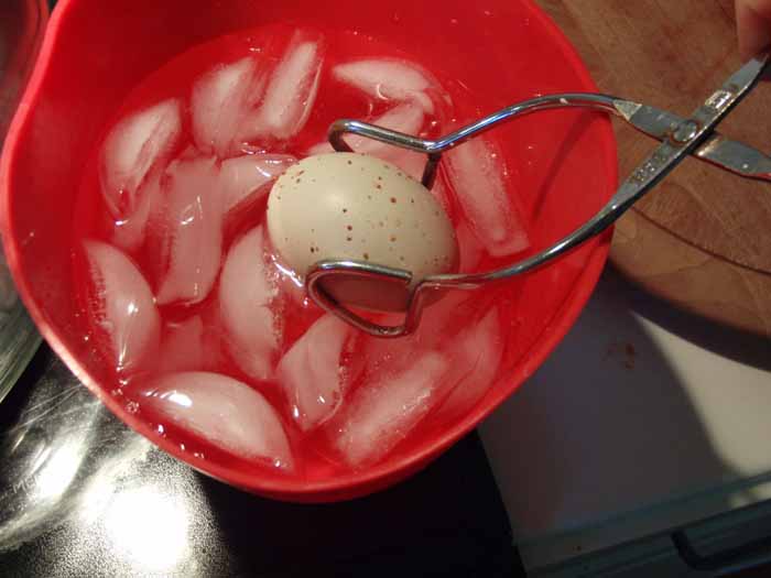 adding eggs to ice bathweb.jpg