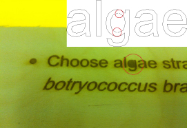 algae-laser.jpg