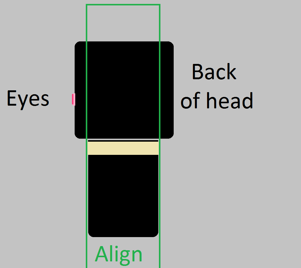 align head and body.png