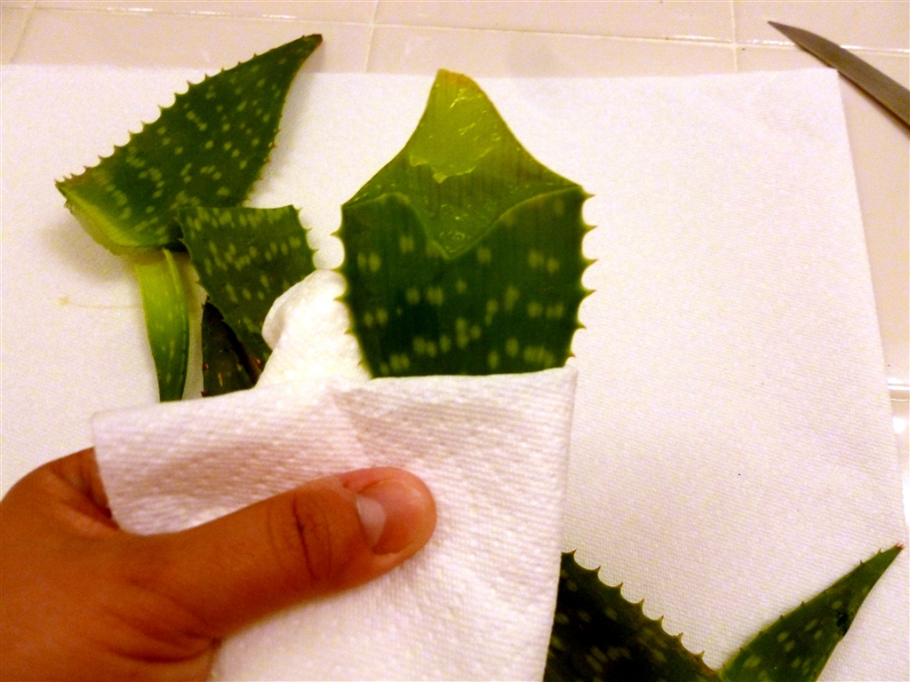 aloe gel_0012.jpg