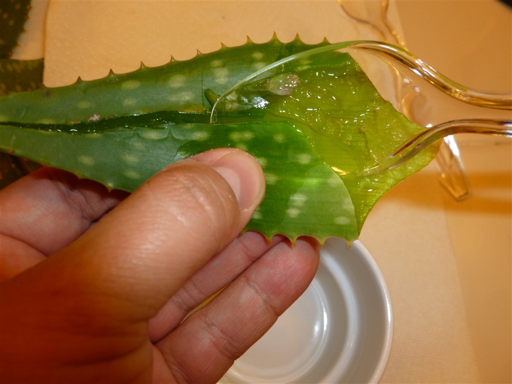 aloe gel_0014.jpg