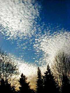 altocumulus.jpg