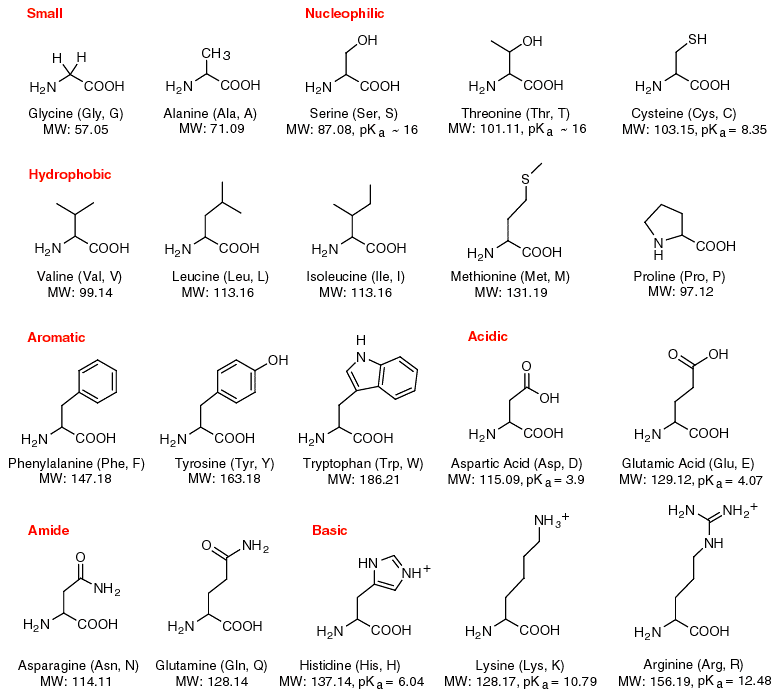 amino-acid-table1.gif