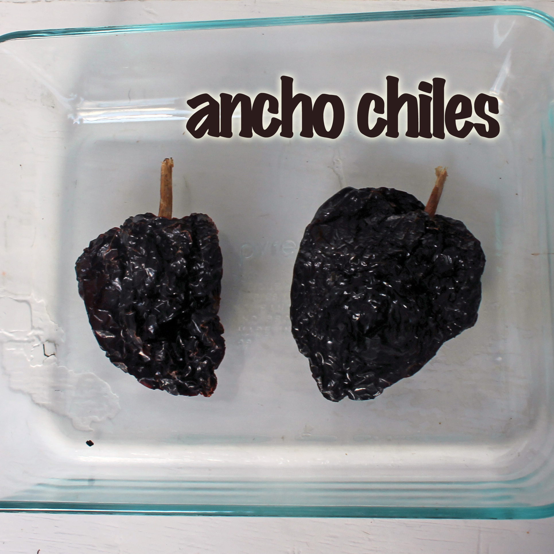 anchos copy.jpg