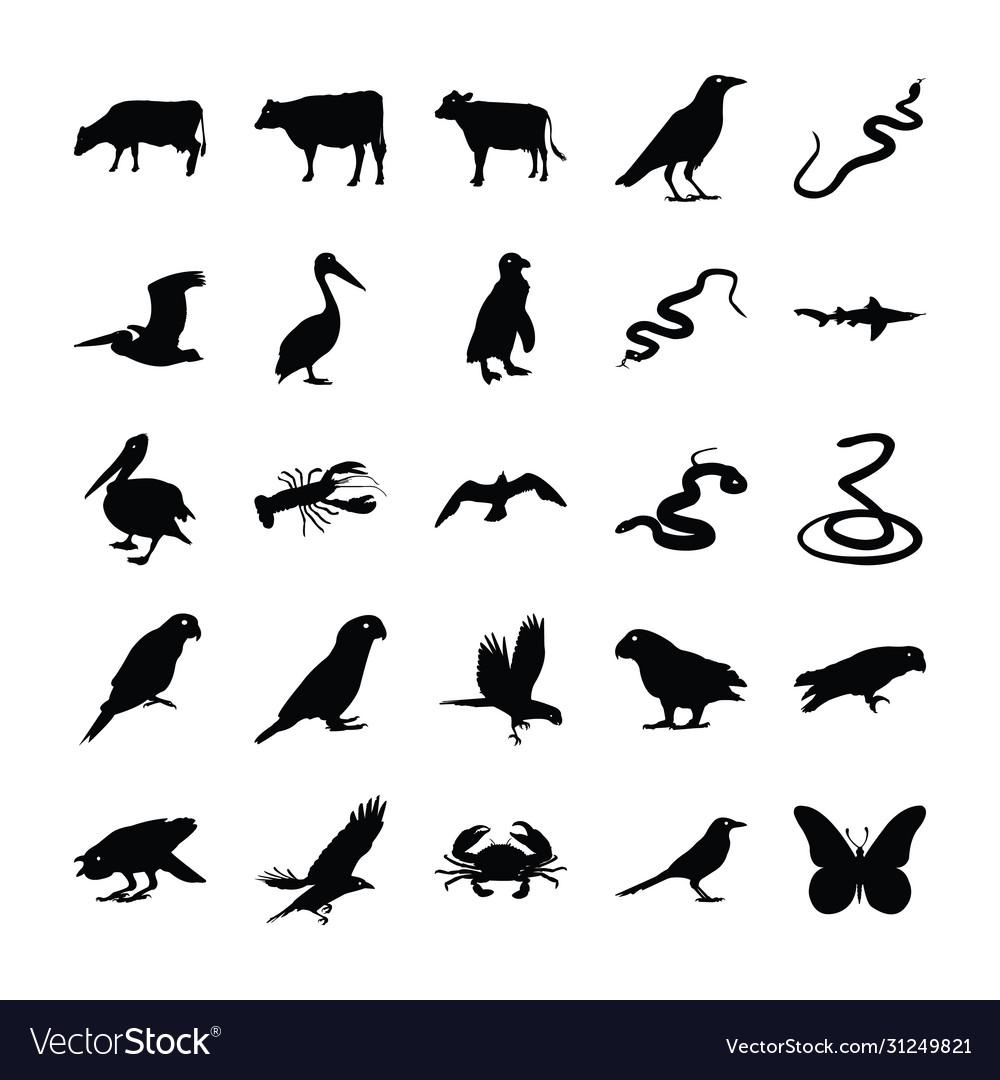 animals-solid-icons-bundle-vector-31249821.jpg