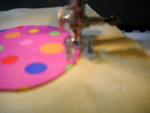 aplq10-stitching.JPG