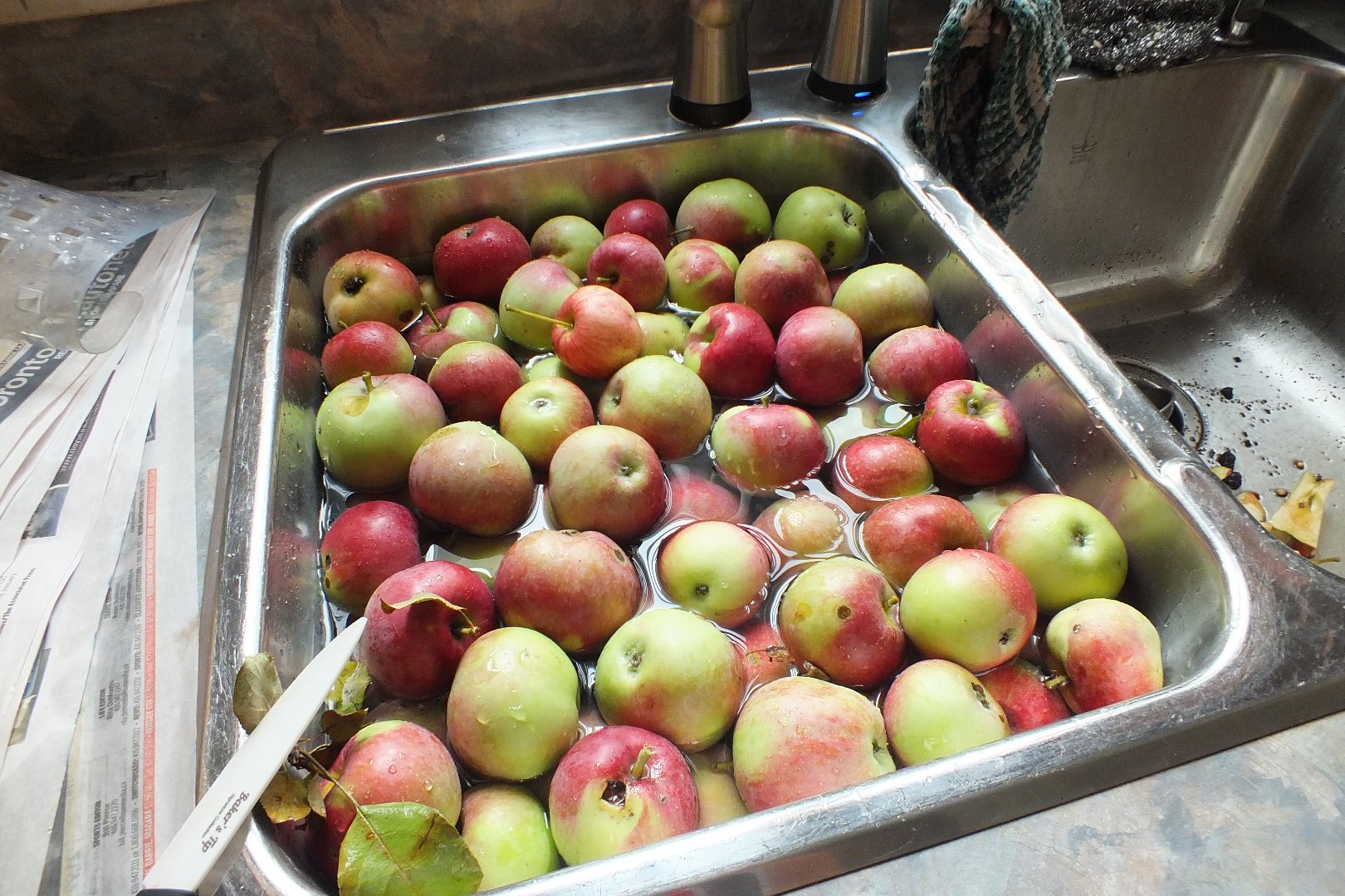 apples, apple sauce, fruit 003.JPG