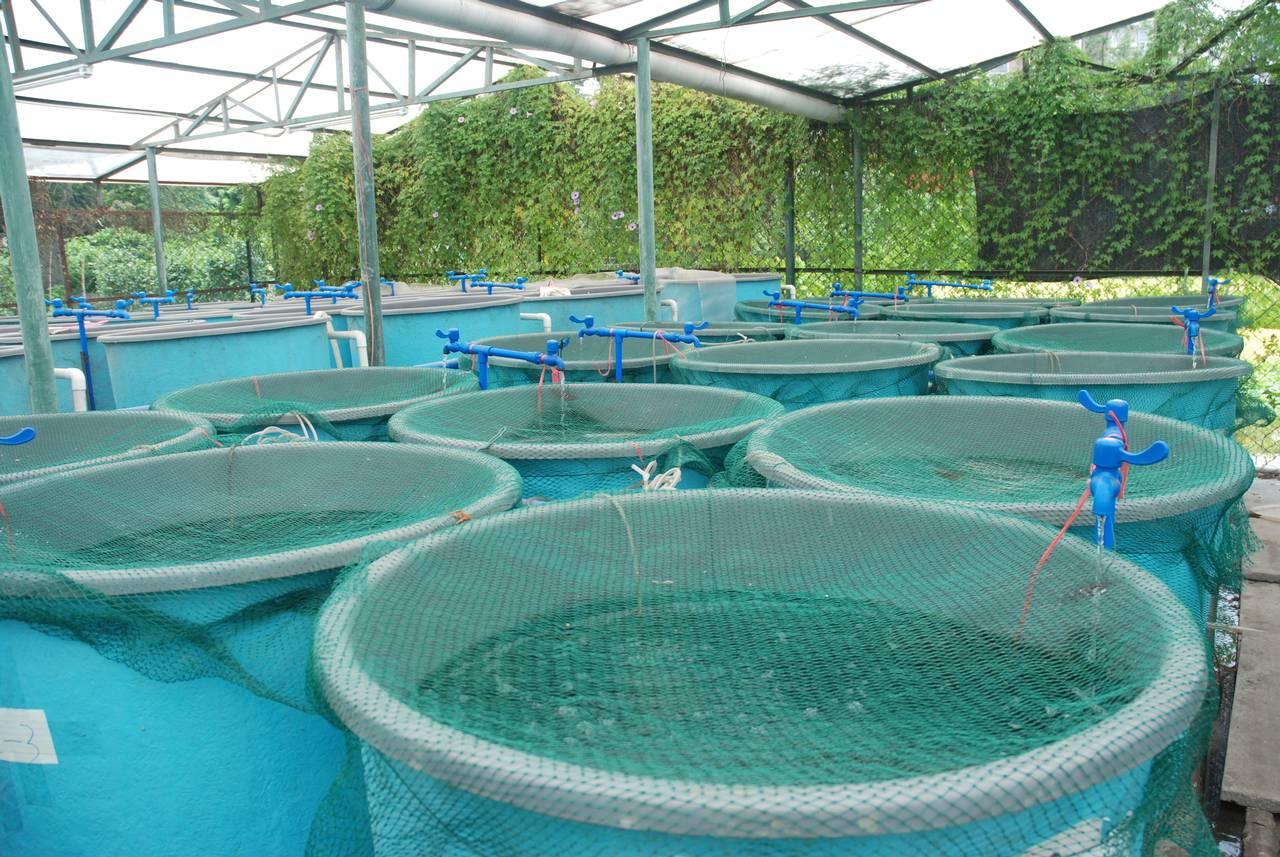 aquaculture_7B47FD8474C2E.jpg