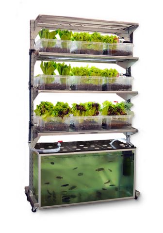 aquaponics.jpg