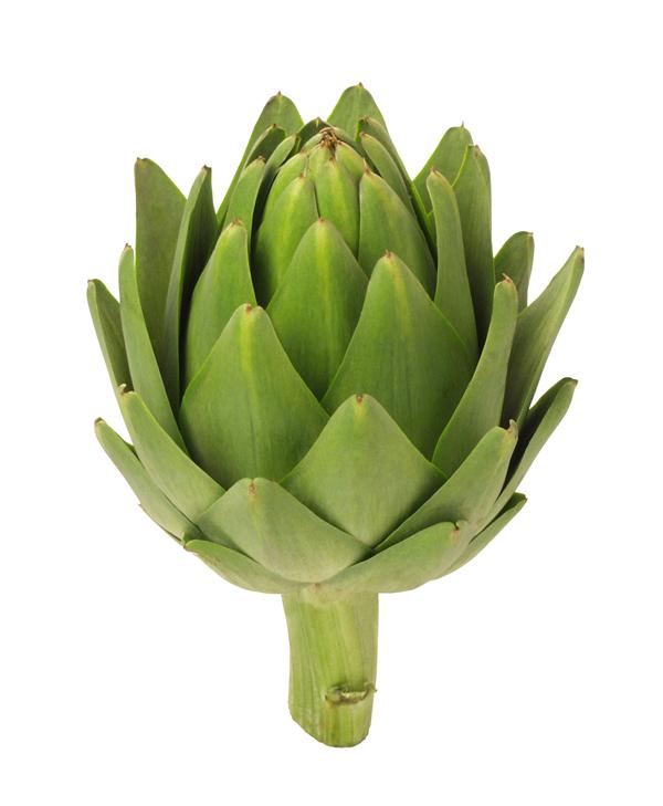 artichoke.jpg