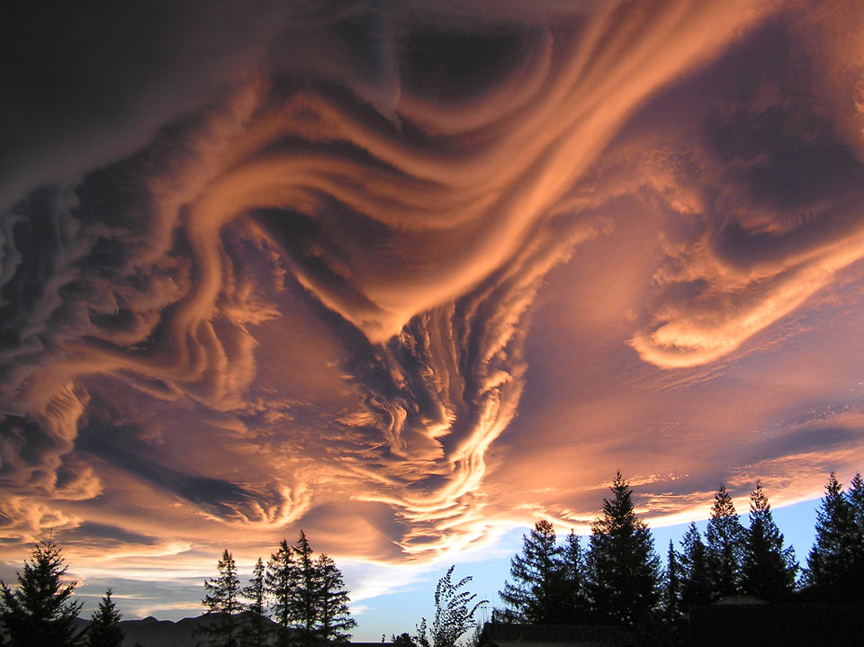 asperatus_priester_960.jpg