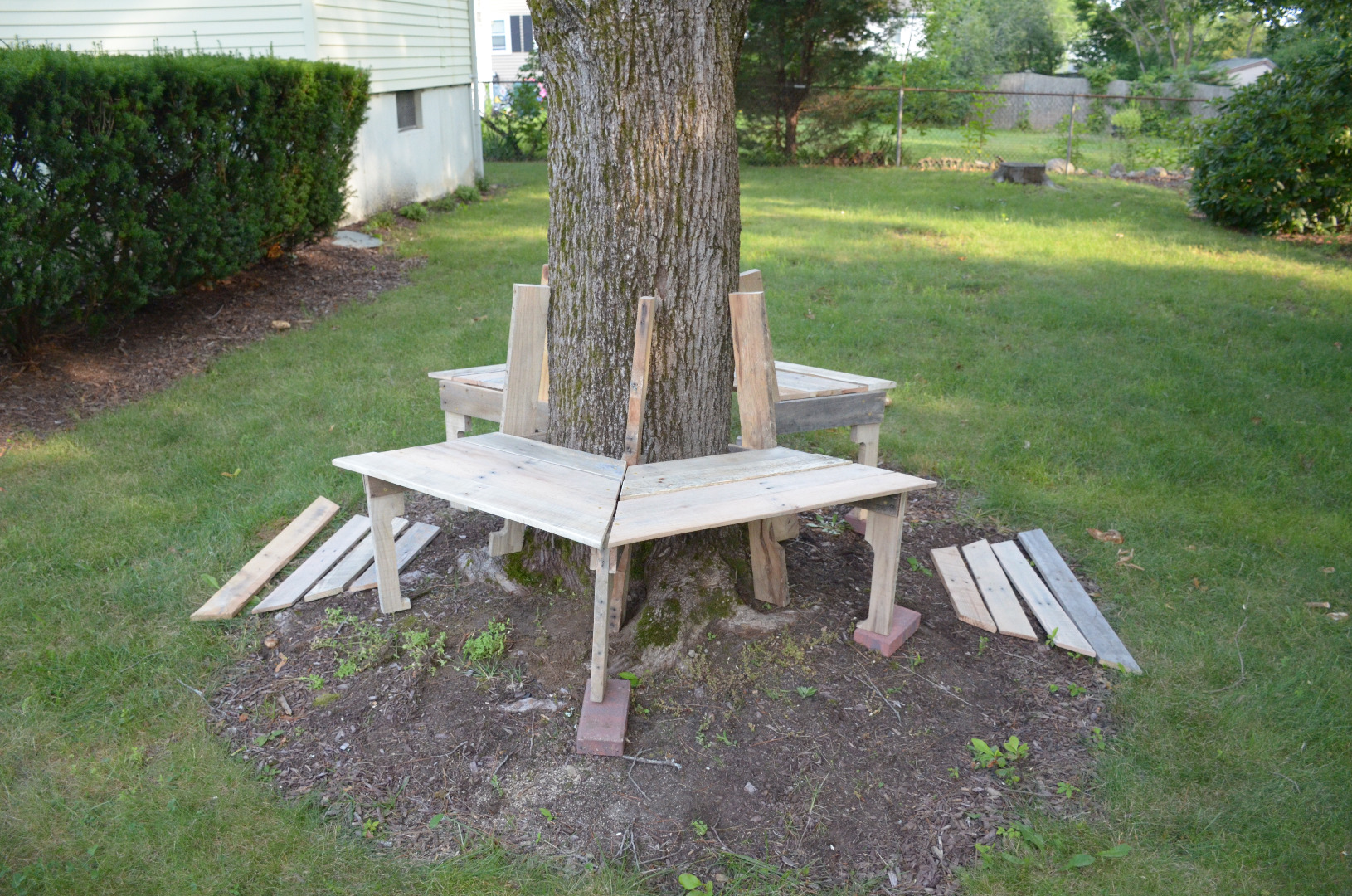 assemble bottom at tree 4.JPG