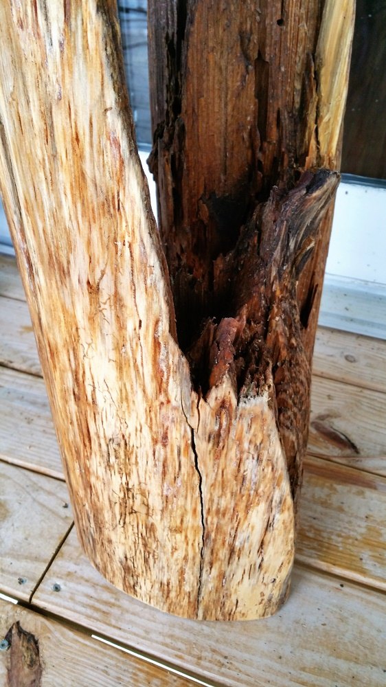 awesome-table-from-a-stump.jpg