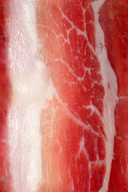 bacon texture2.jpg