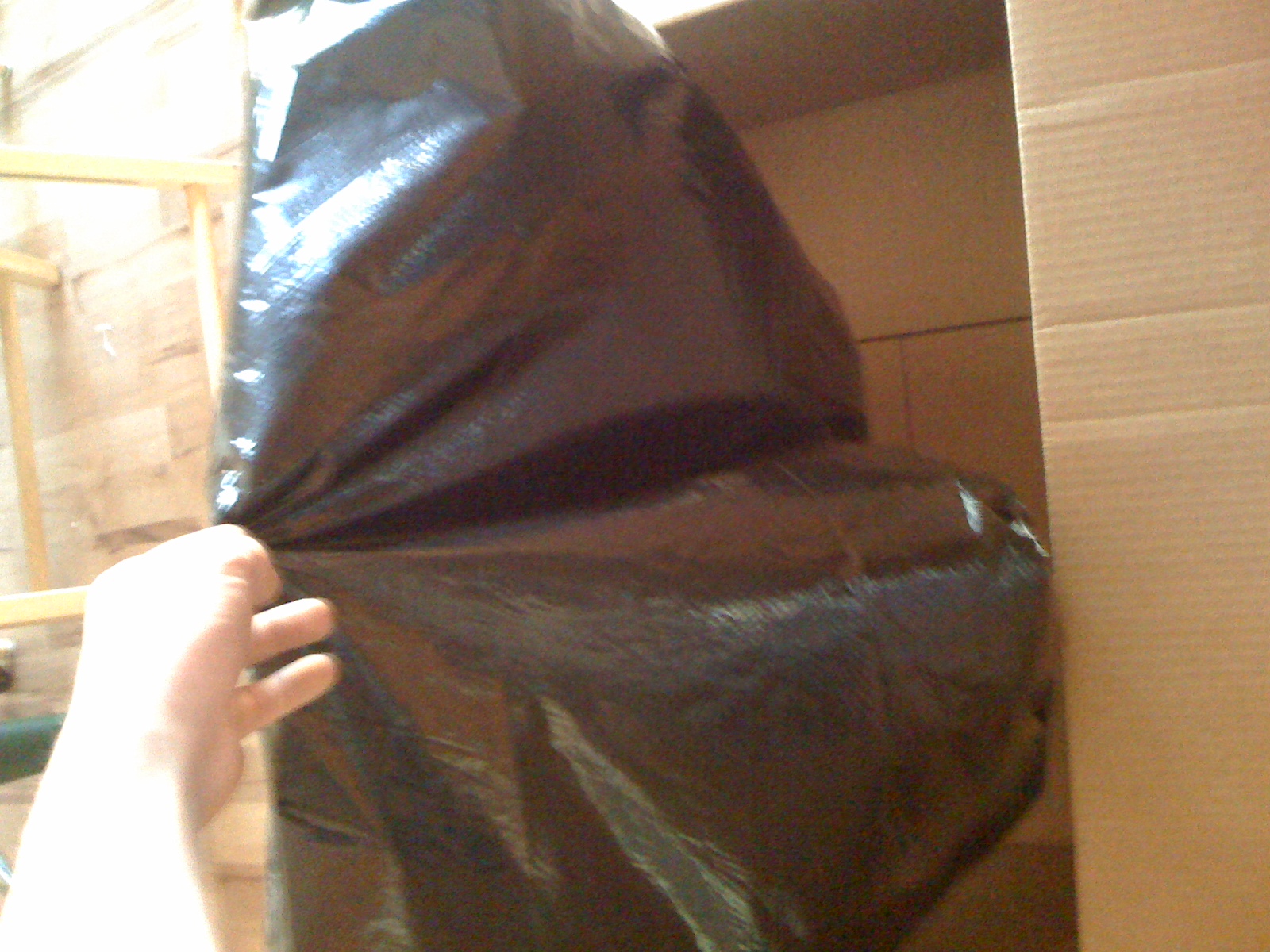 bag in box.jpg