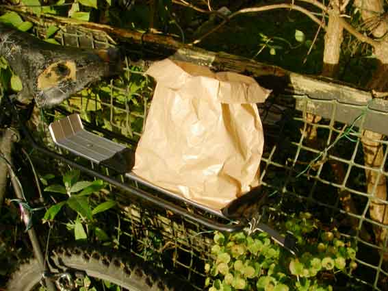 bagonback1.jpg