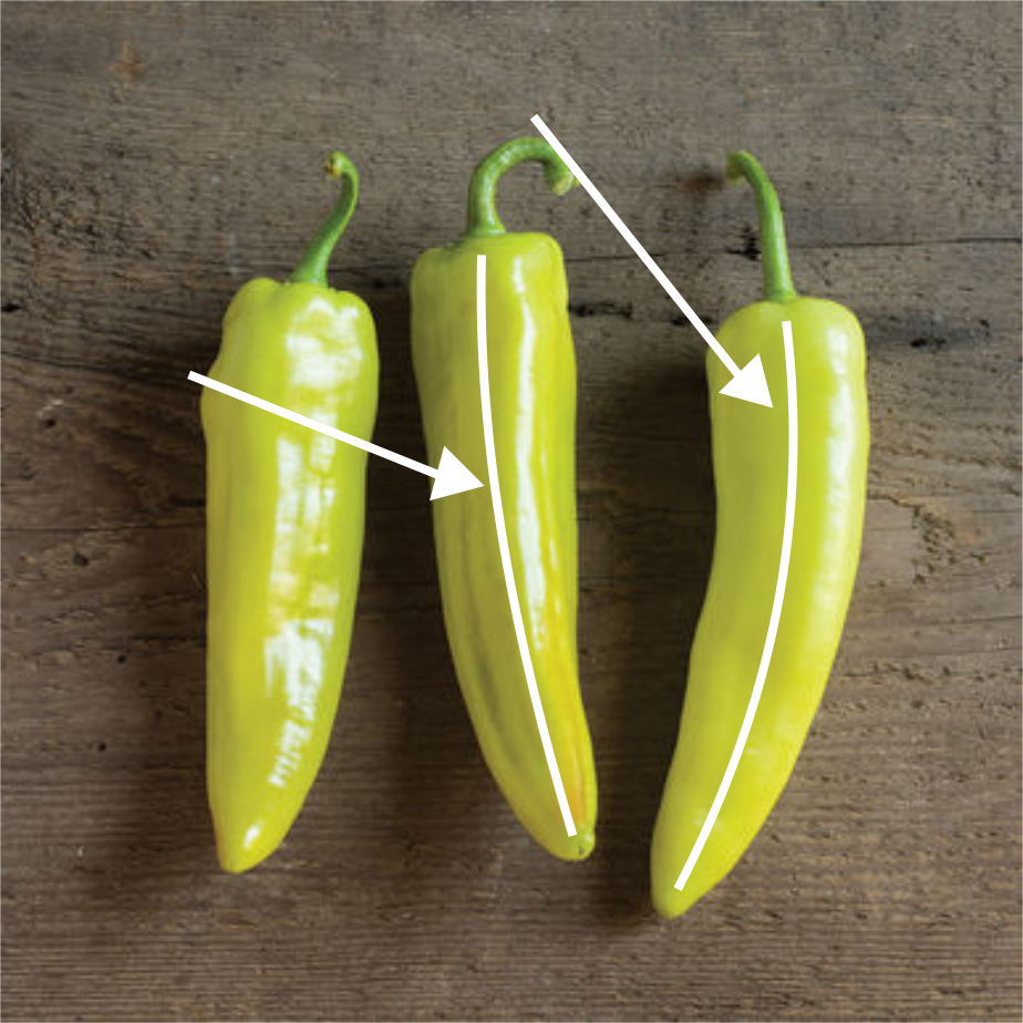 banana-pepper-where-to-slice.png