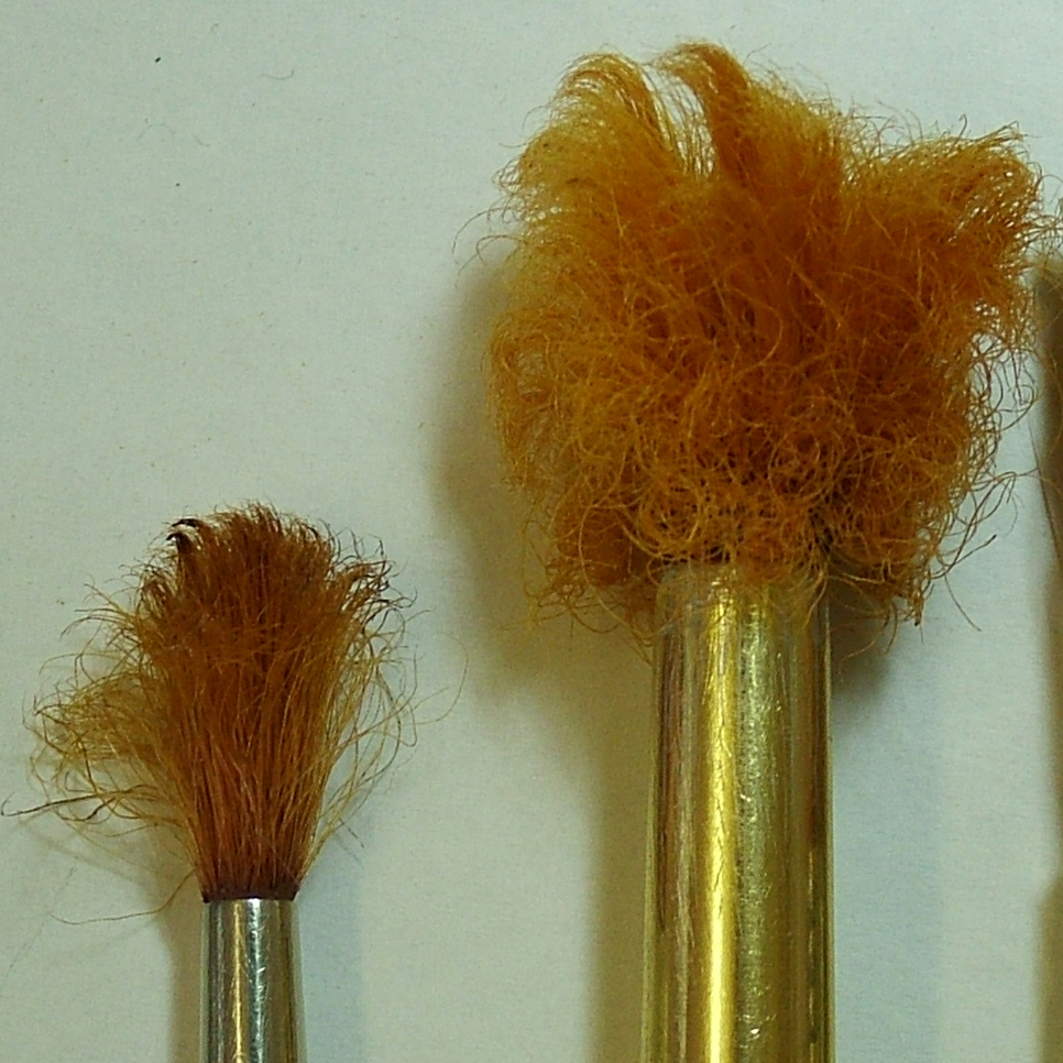 bashed_brush.jpg