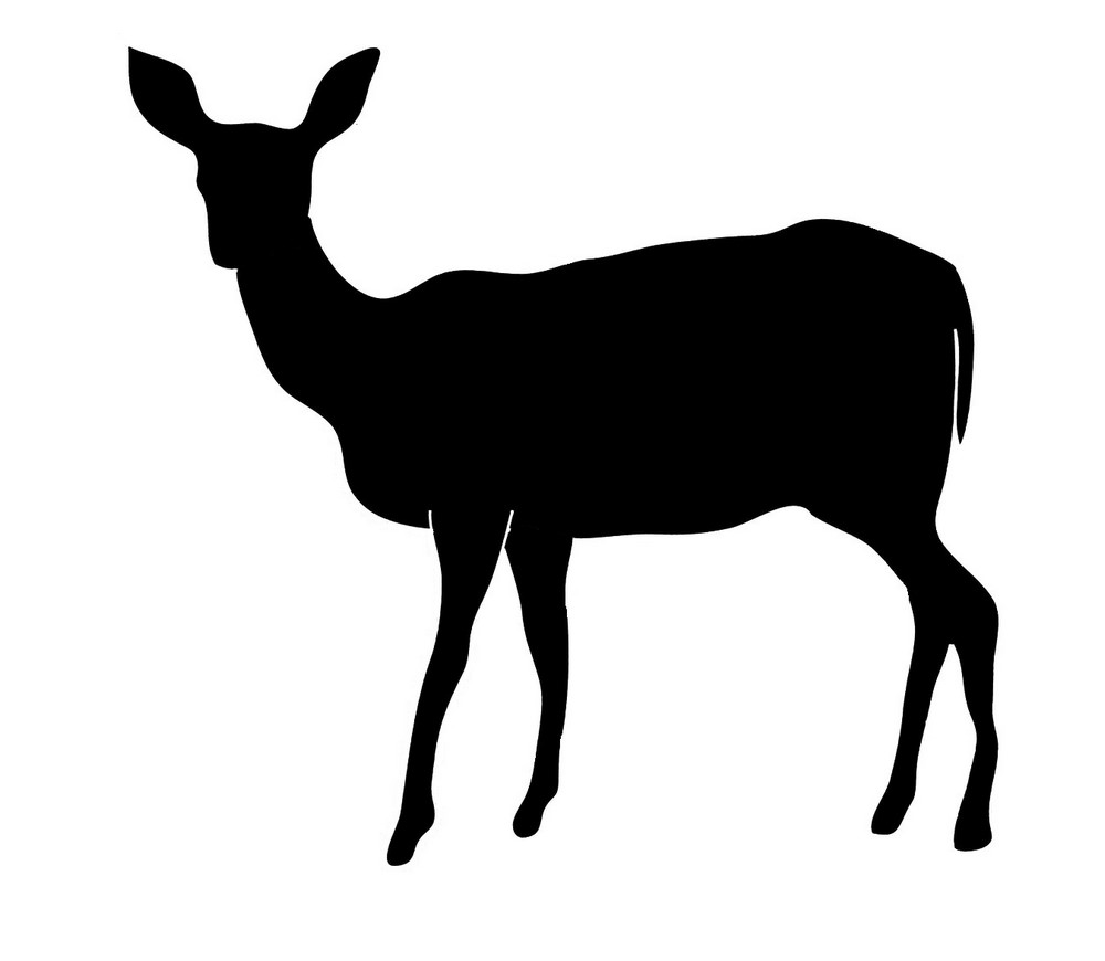 basic-laser-perspex-sheet-animals-deer-2-1000.jpg