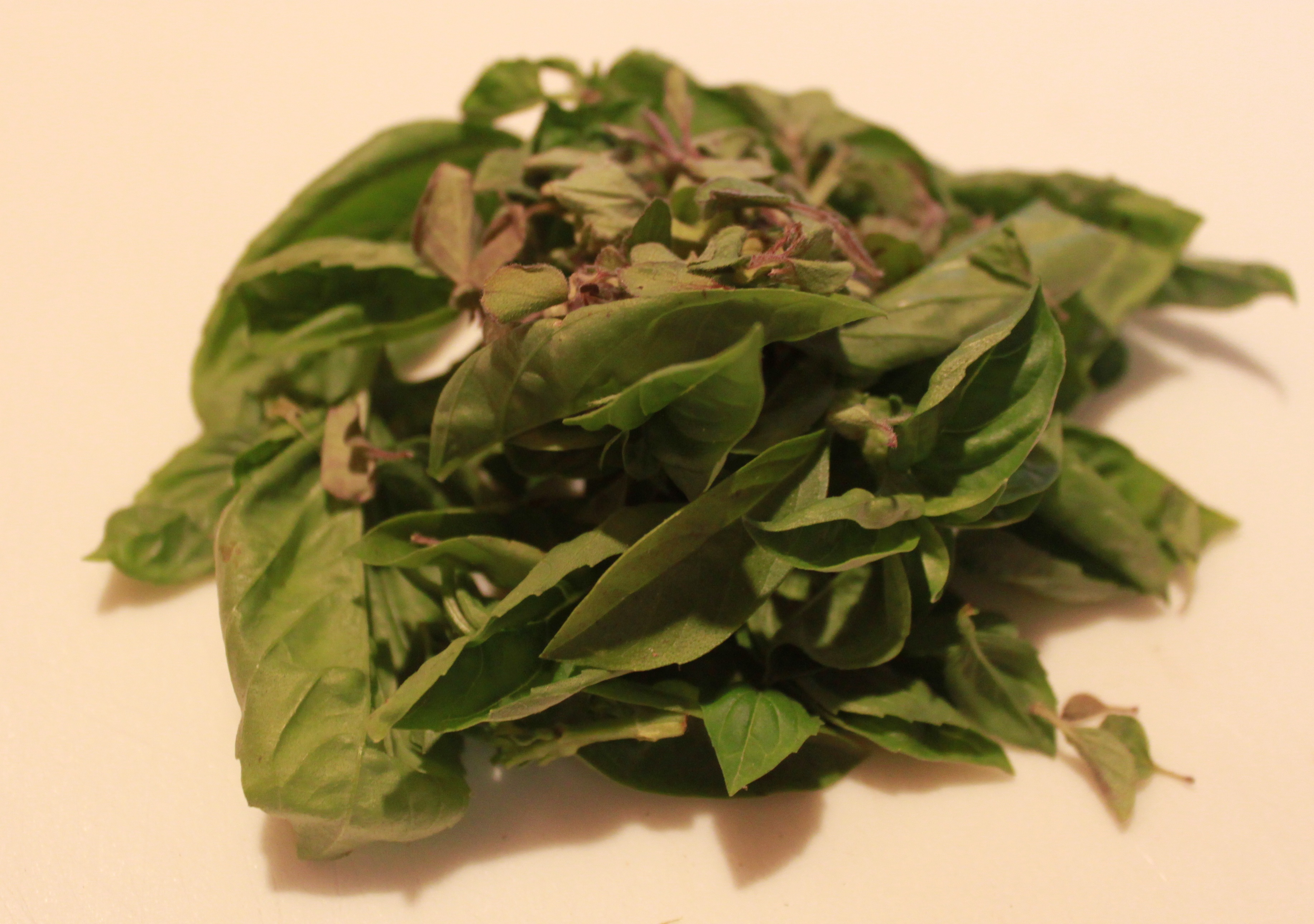 basil oregano.jpg