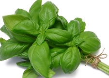 basil-bsp.jpg