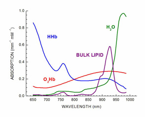 basis_spectra.jpg