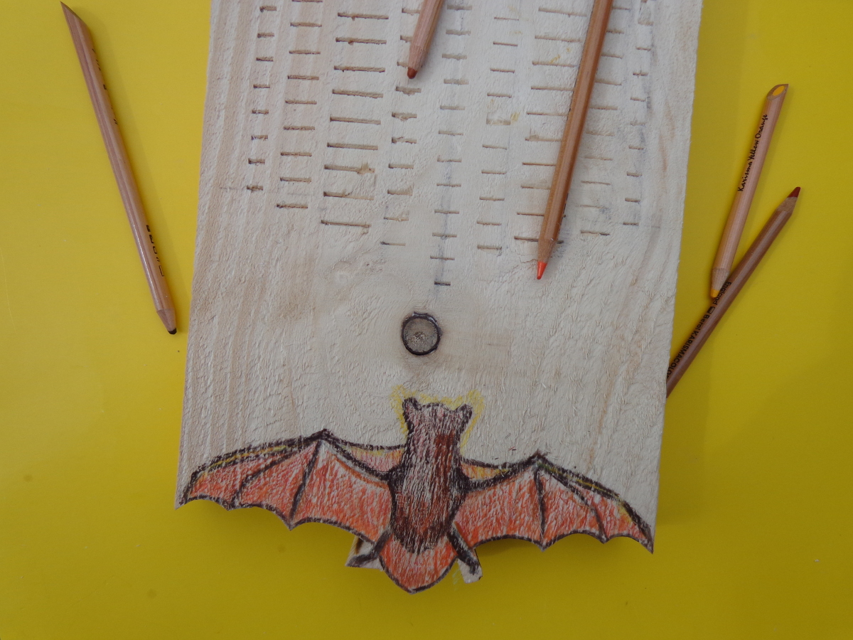 bat_house_cc-by_openproducts_11.jpg