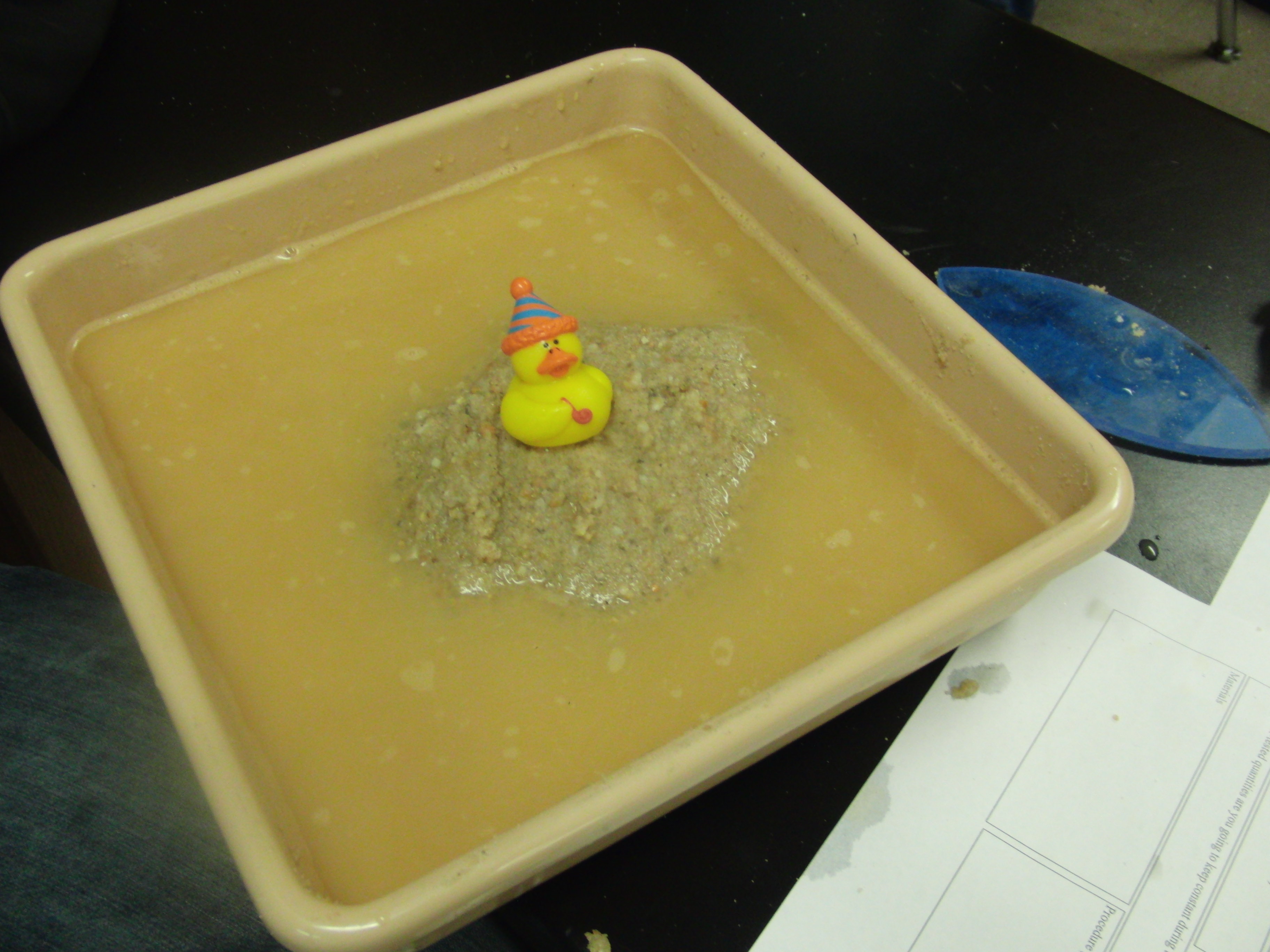 beach erosion in tray with duck.JPG