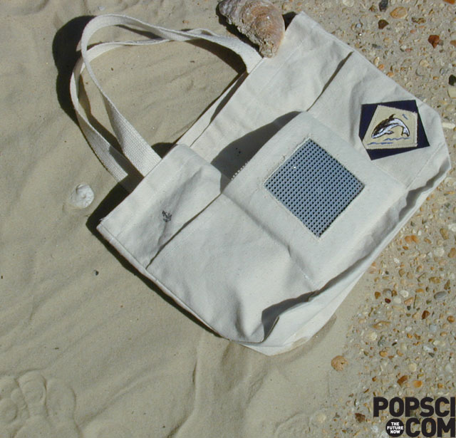 beach_bag_ipod_tote.jpg