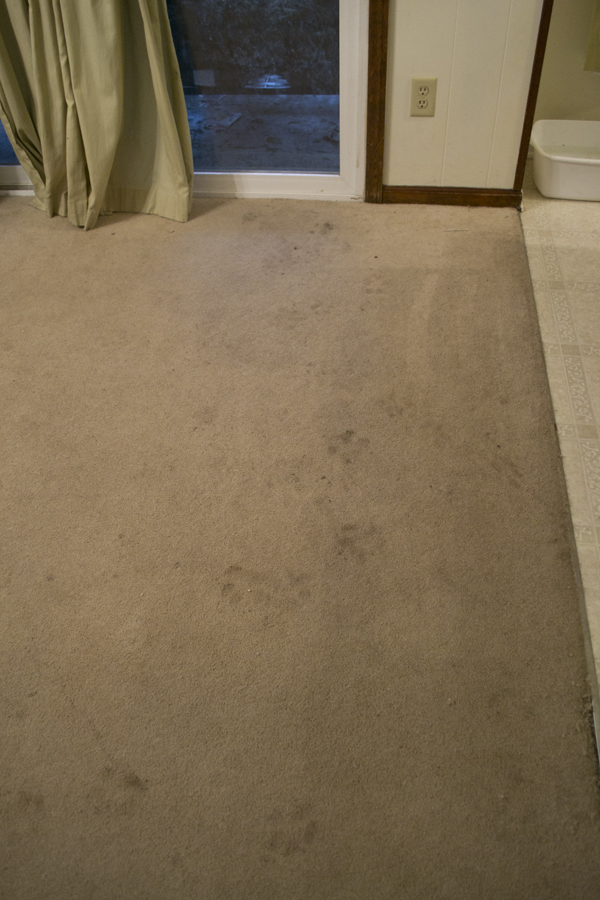 before-steam-carpet.jpg