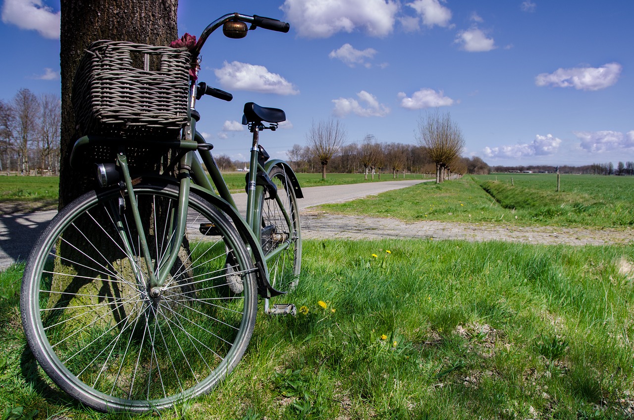 bicycle-747076_1280.jpg