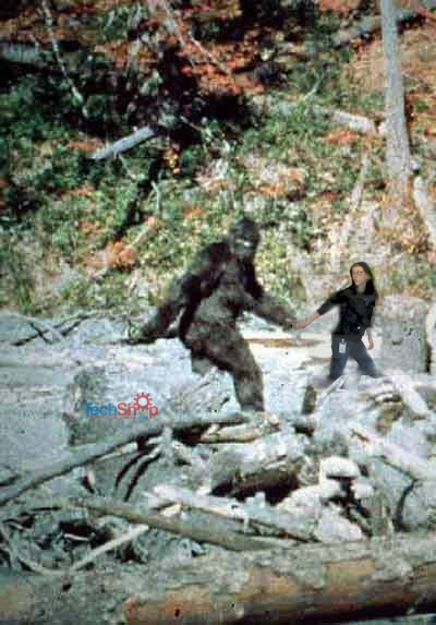 bigfoot2.jpg