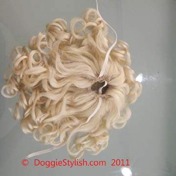 bikini-wig.jpg
