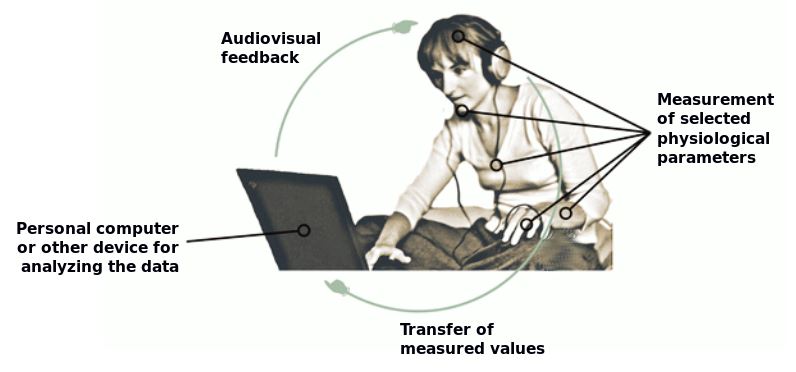 biofeedbackCircuit.JPG