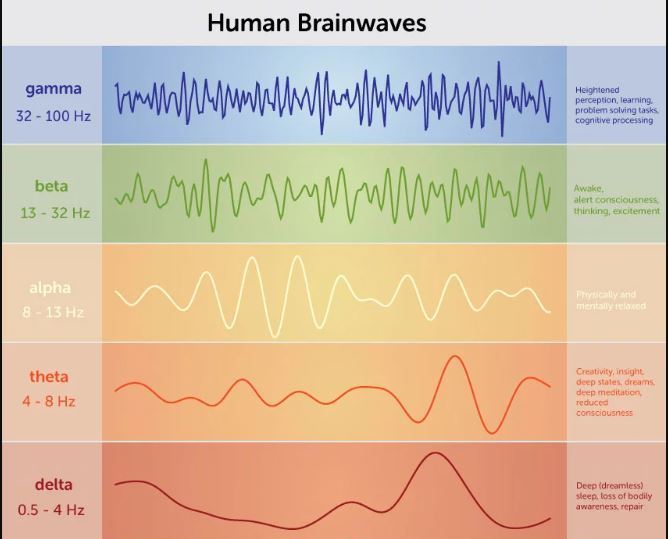 biosensor project-waves chart.JPG