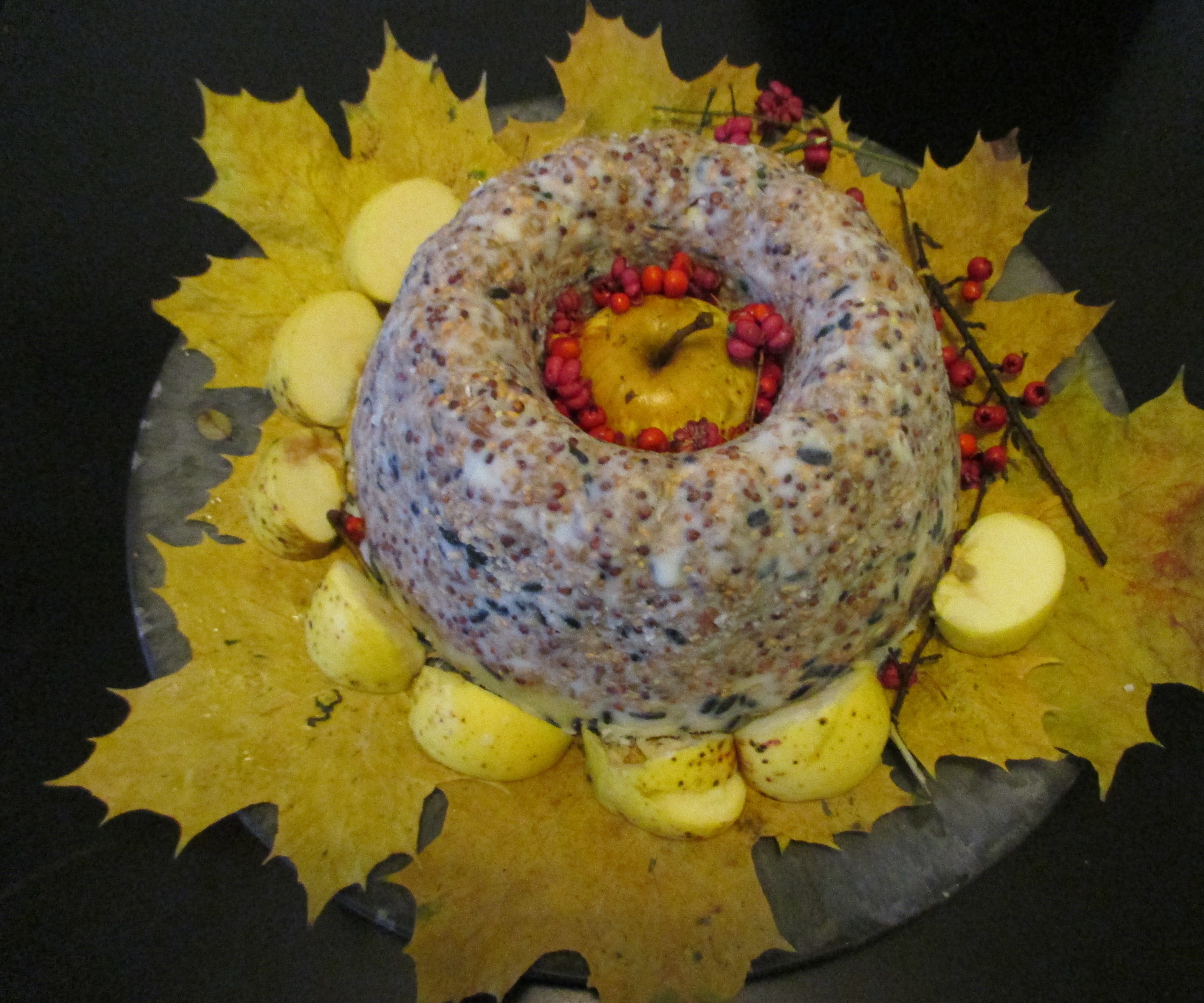 bird seed cake 1.jpg