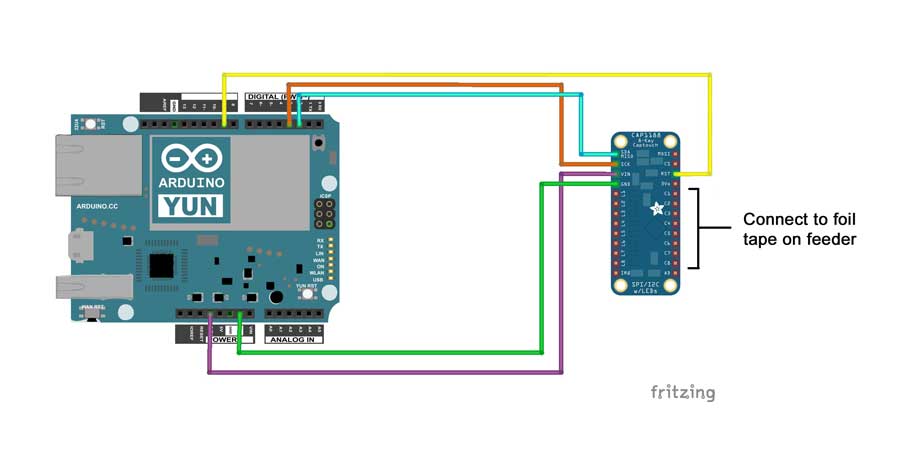 bird-feeder-project_bb.jpg