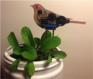 bird_plant-300x253-3.png