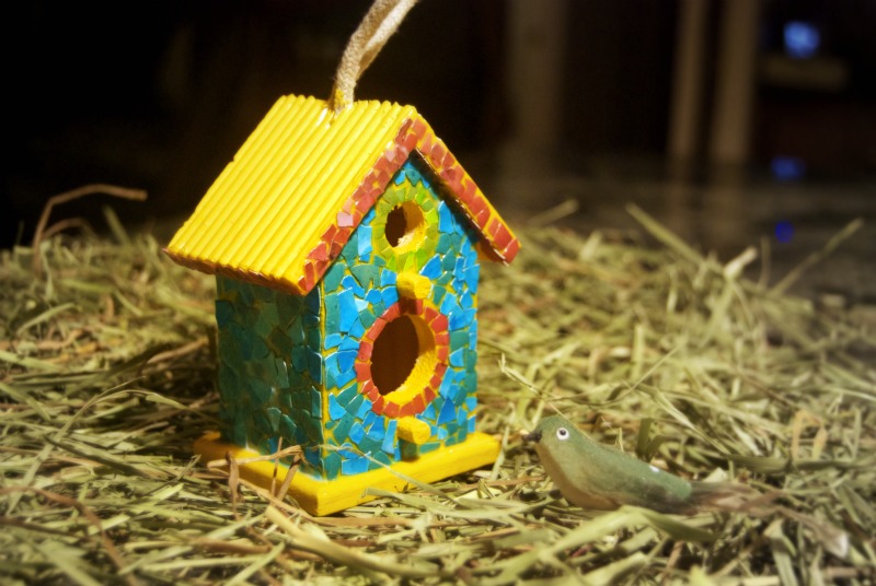 birdhouse.jpg