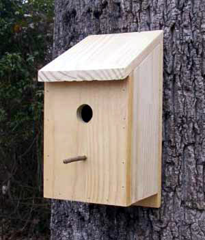 birdhouse.jpg