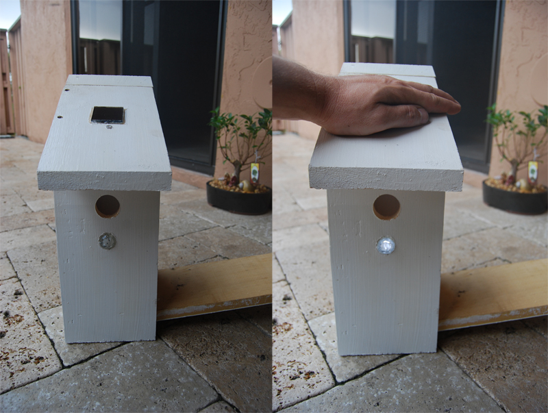 birdhouse4.jpg