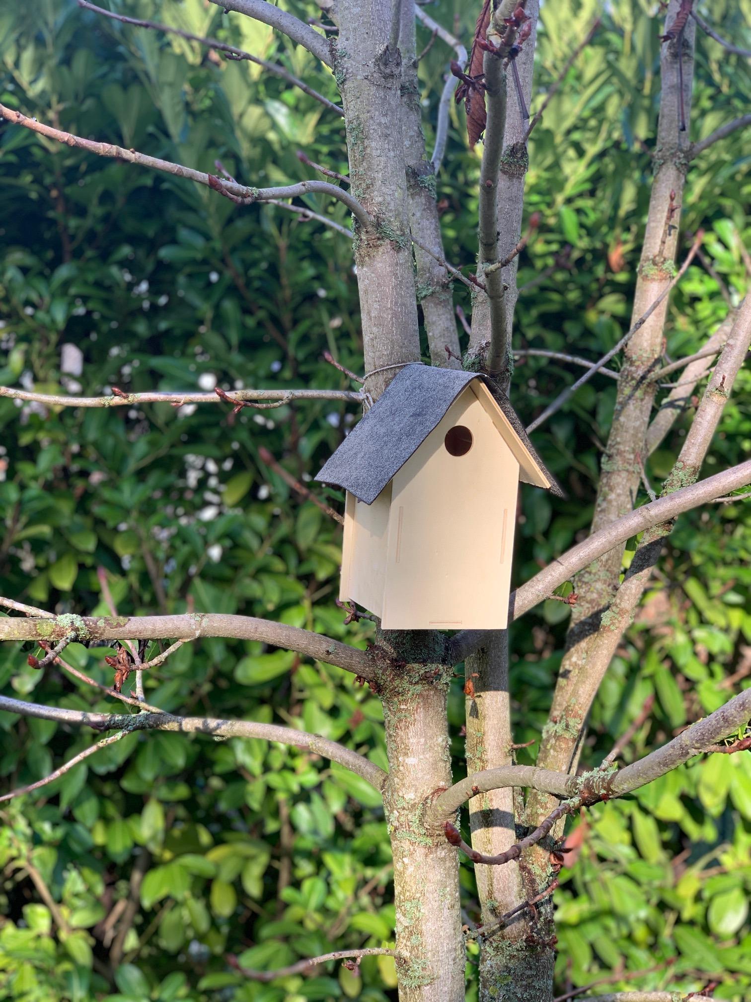 birdhouse_on_a_tree.jpg