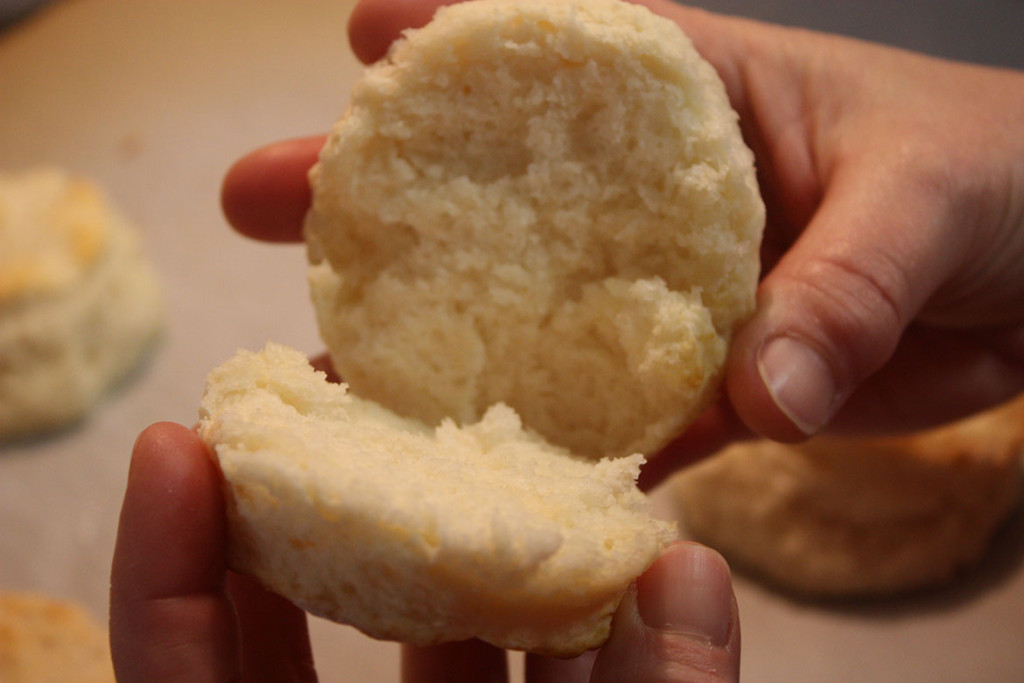 biscuits_10-1024x683.jpg