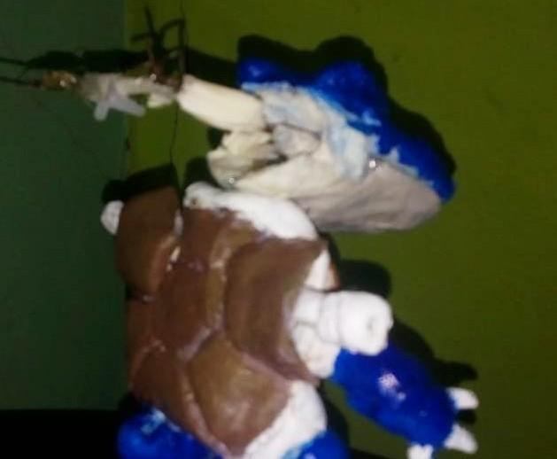 blastoise10.jpg