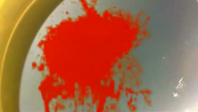 blood spatter.png