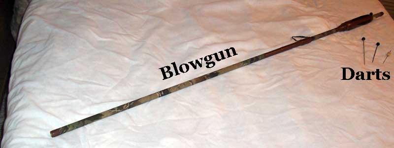 blowgun.jpg