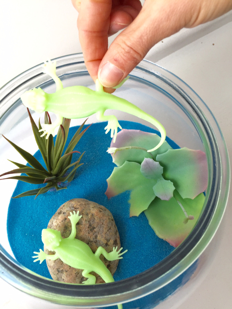 blue colored sand terrarium project.jpg